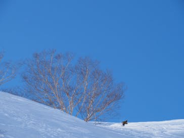 番亭　bamboo tailに投稿された画像（2021/3/9）