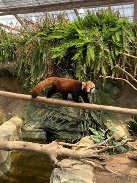 神戸どうぶつ王国に投稿された画像（2021/3/9）