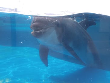 京都水族館に投稿された画像（2021/3/9）