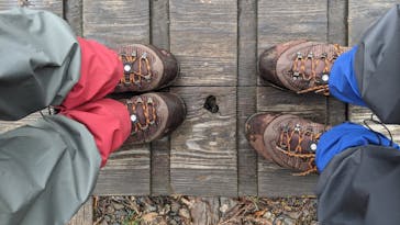 Yamakara屋久島に投稿された画像（2021/3/9）