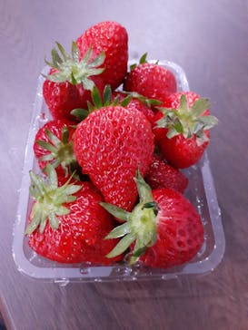 井上寅雄農園に投稿された画像（2021/3/9）