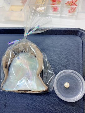 三重県真珠に投稿された画像（2021/3/9）