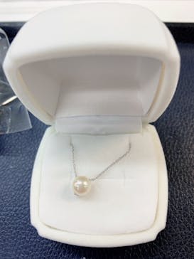 三重県真珠に投稿された画像（2021/3/9）