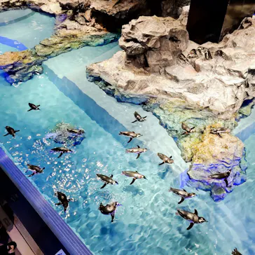 すみだ水族館に投稿された画像（2021/3/9）