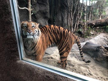 神戸どうぶつ王国に投稿された画像（2021/3/9）