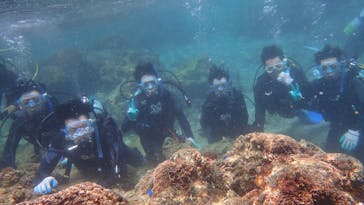 ダイビングショップ Sea Free（シーフリー）に投稿された画像（2021/3/10）