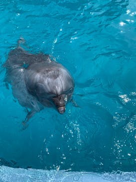 マリンワールド海の中道に投稿された画像（2021/3/10）