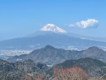 伊豆パノラマパークに投稿された画像（2021/3/10）