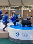 サンシャイン水族館に投稿された画像（2021/3/10）