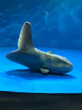 仙台うみの杜水族館に投稿された画像（2021/3/10）