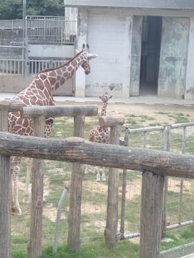 沖縄こどもの国に投稿された画像（2021/3/10）