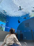 サンシャイン水族館に投稿された画像（2021/3/10）