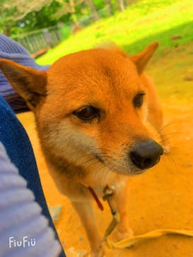 ネオパークオキナワに投稿された画像（2021/3/10）