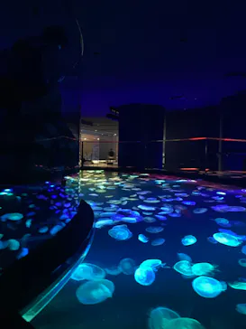 すみだ水族館に投稿された画像（2021/3/10）