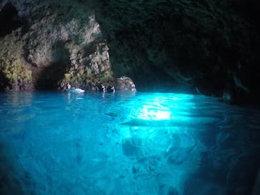 武藤潜水に投稿された画像（2021/3/11）