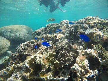 武藤潜水に投稿された画像（2021/3/11）