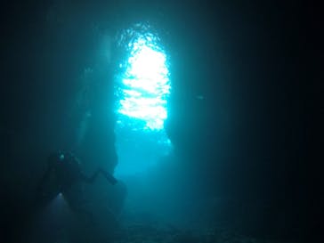 武藤潜水に投稿された画像（2021/3/11）