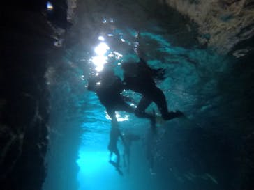 武藤潜水に投稿された画像（2021/3/11）