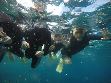 武藤潜水に投稿された画像（2021/3/11）