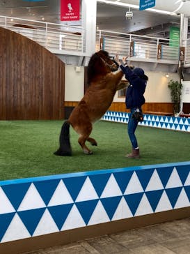 ノーザンホースパークに投稿された画像（2021/3/11）