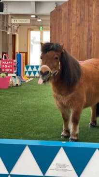 ノーザンホースパークに投稿された画像（2021/3/11）