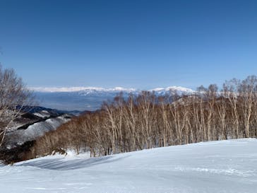 志賀高原中央エリアスキー場に投稿された画像（2021/3/11）