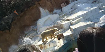 天王寺動物園に投稿された画像（2021/3/11）