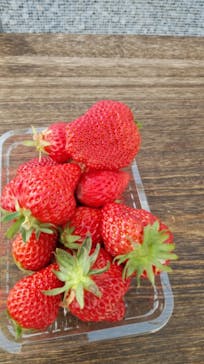 井上寅雄農園に投稿された画像（2021/3/11）