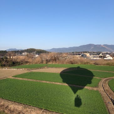 気球屋に投稿された画像（2021/3/11）