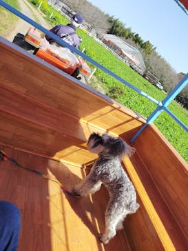 成田ゆめ牧場に投稿された画像（2021/3/11）