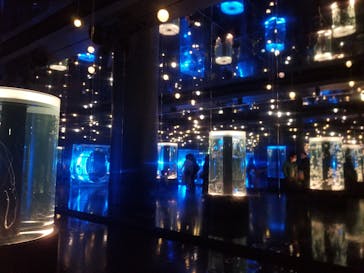 マクセル アクアパーク品川に投稿された画像（2021/3/12）