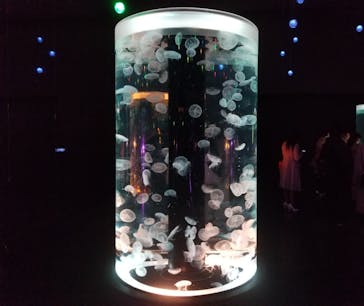 マクセル アクアパーク品川に投稿された画像（2021/3/12）