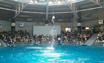 マクセル アクアパーク品川に投稿された画像（2021/3/12）