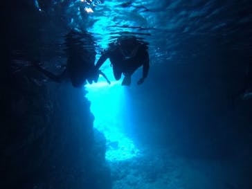 武藤潜水に投稿された画像（2021/3/12）