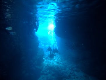 武藤潜水に投稿された画像（2021/3/12）