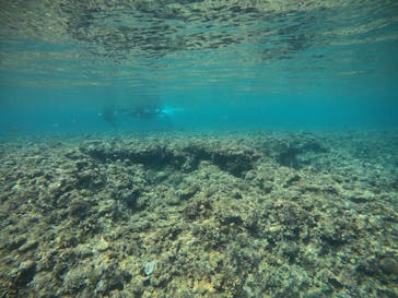 武藤潜水に投稿された画像（2021/3/12）