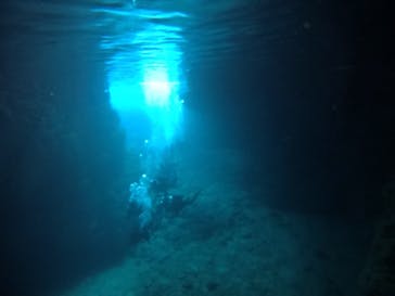 武藤潜水に投稿された画像（2021/3/12）