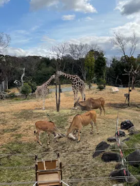 天王寺動物園に投稿された画像（2021/3/12）