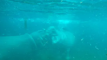 天王寺動物園に投稿された画像（2021/3/12）