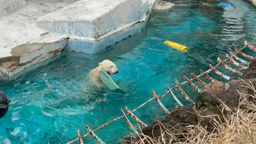 天王寺動物園に投稿された画像（2021/3/12）