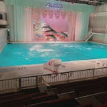 京急油壺マリンパークに投稿された画像（2021/3/12）