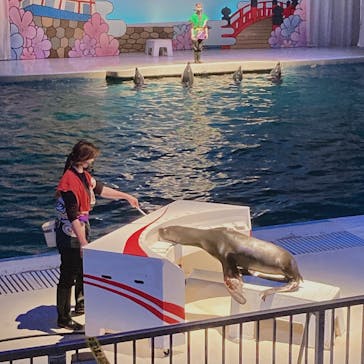 京急油壺マリンパークに投稿された画像（2021/3/12）