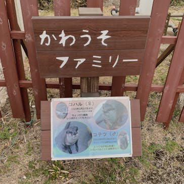 京急油壺マリンパークに投稿された画像（2021/3/12）