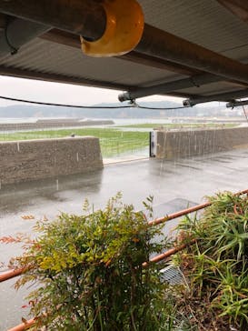 海女小屋はちまんかまどに投稿された画像（2021/3/12）