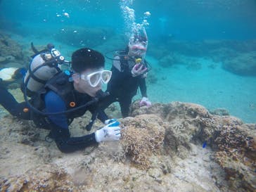 武藤潜水に投稿された画像（2021/3/13）