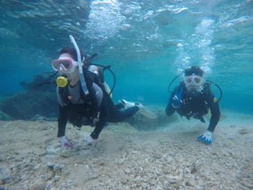 武藤潜水に投稿された画像（2021/3/13）