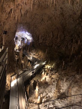 おきなわワールドに投稿された画像（2021/3/13）