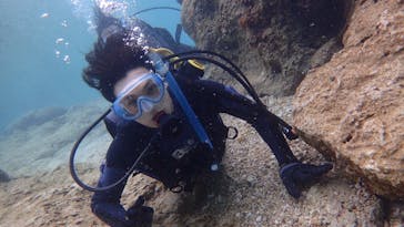 ダイビングショップ Sea Free（シーフリー）に投稿された画像（2021/3/13）