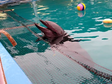 ゼロ距離水族館 伊勢シーパラダイスに投稿された画像（2021/3/13）