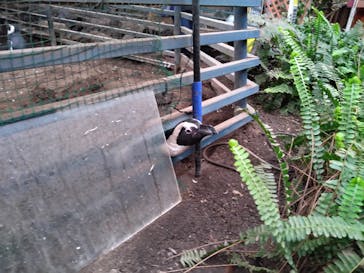 ゼロ距離水族館 伊勢シーパラダイスに投稿された画像（2021/3/13）